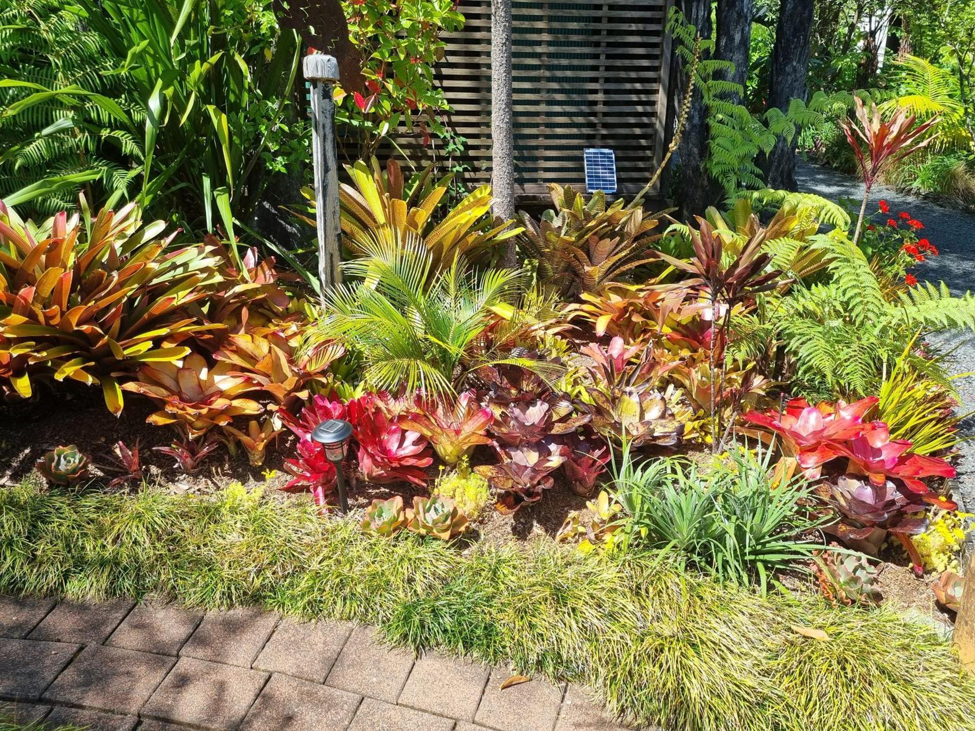 The Bali Room Coromandel Exterior photo